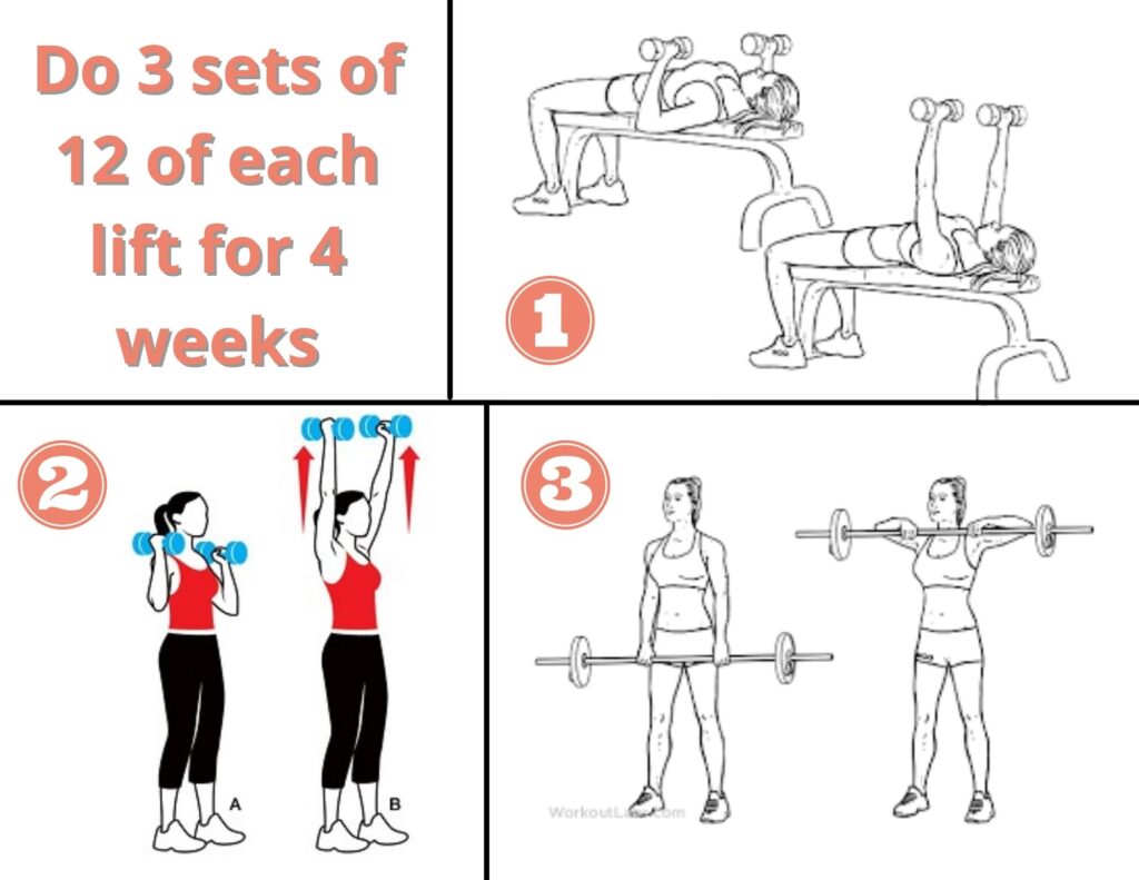 Upper Body Weeks 1-4