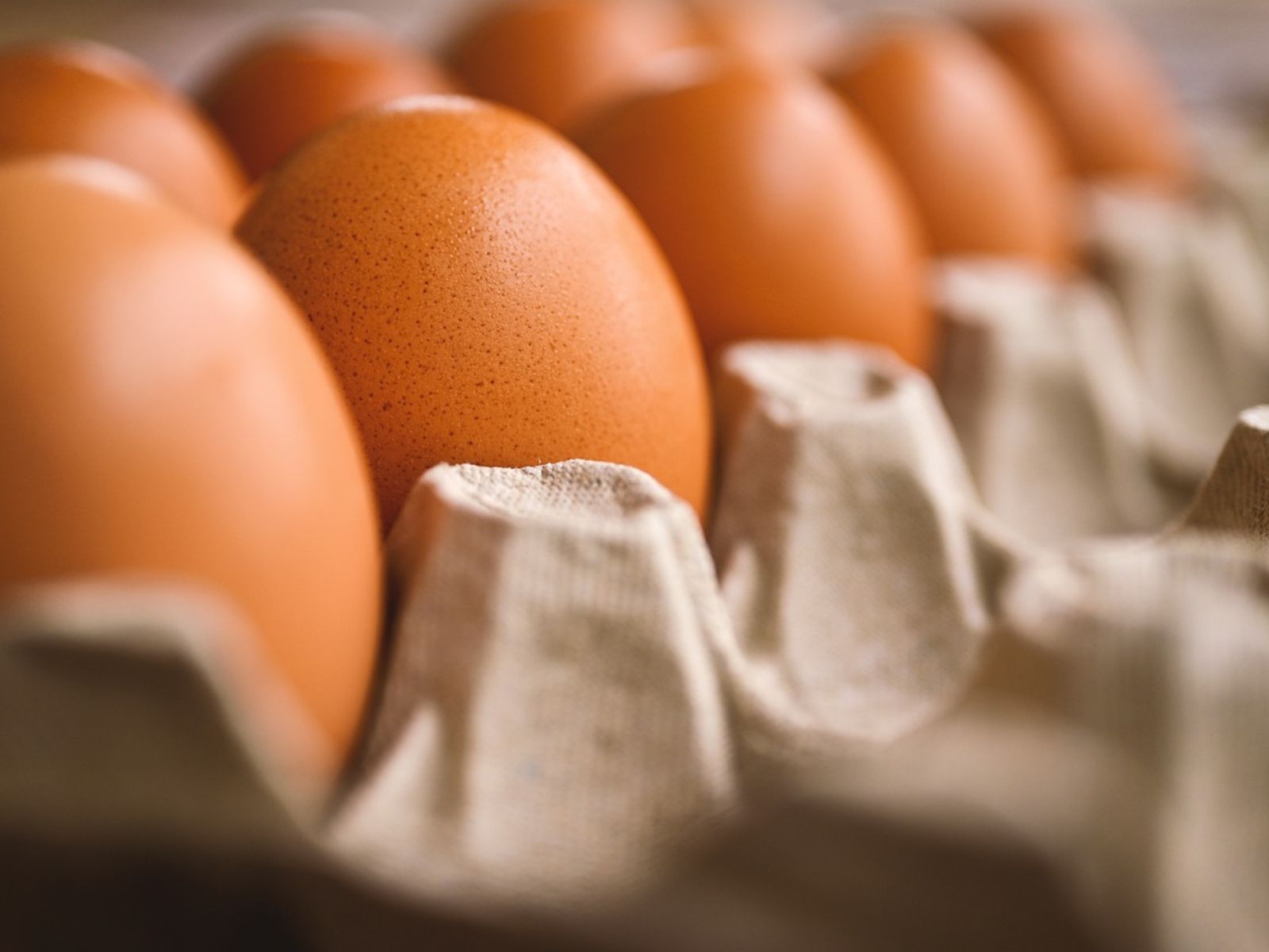 carton of eggs