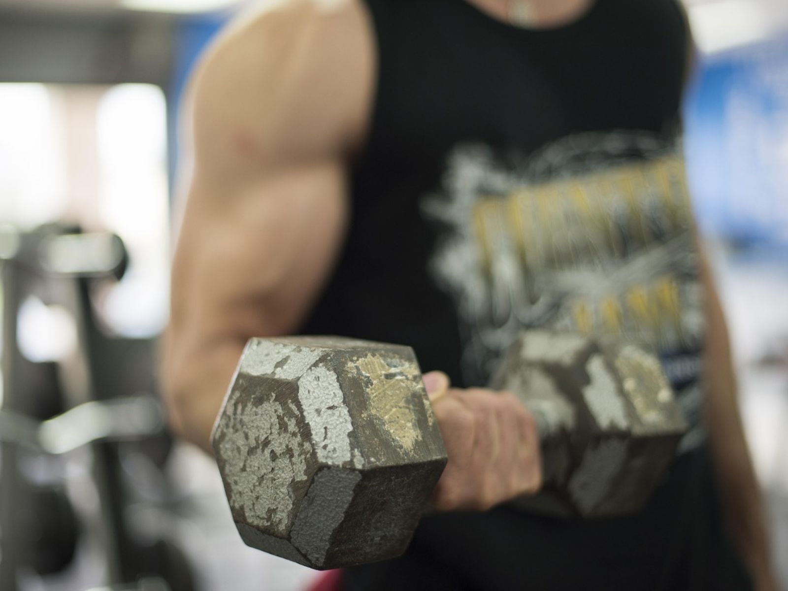 dumbbell biceps bicep muscles