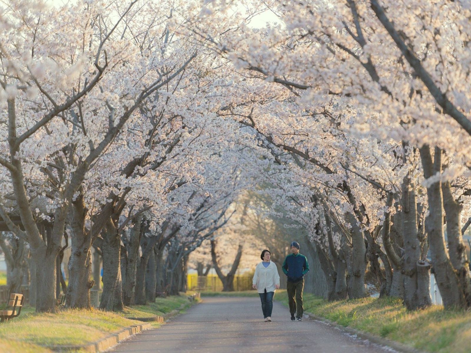 Walking Is An Underrated Form Of Exercise